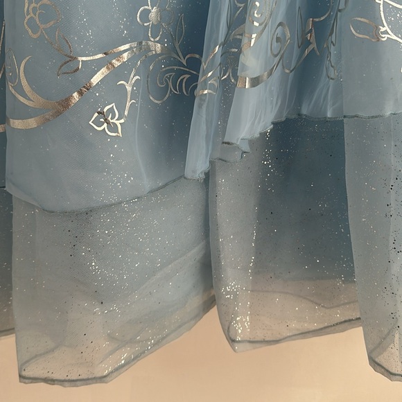 Cinderella Costume - Picture 7 of 10